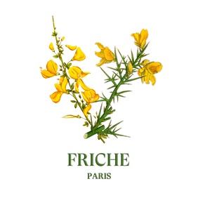 Friche